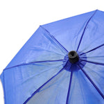 بلام نافورة شمسية للحديقة المائية طاولات الماء Plum