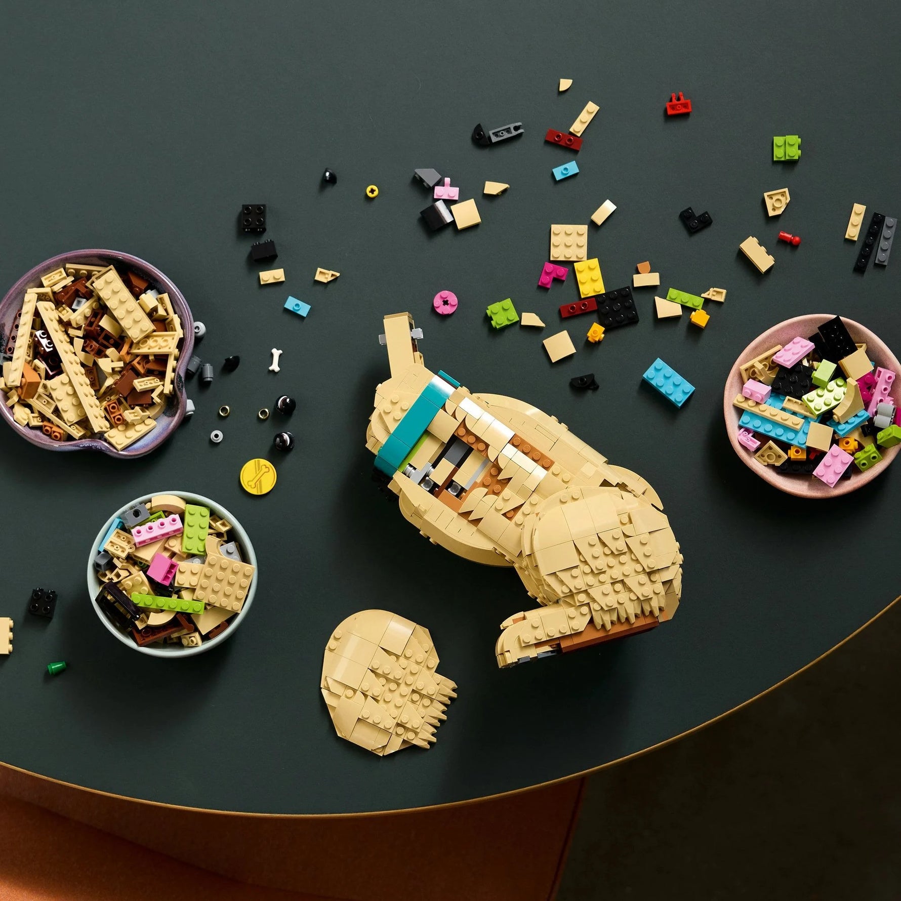 ليجو 11384 ايكونز جرو جولدن ريتريفر مكعبات التركيب LEGO