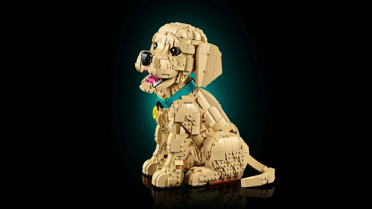 ليجو 11384 ايكونز جرو جولدن ريتريفر مكعبات التركيب LEGO