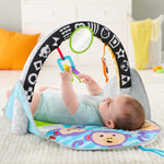 فيشر برايس بساط لعب للاطفال 2 في 1 بساط للمواليد Fisher-Price