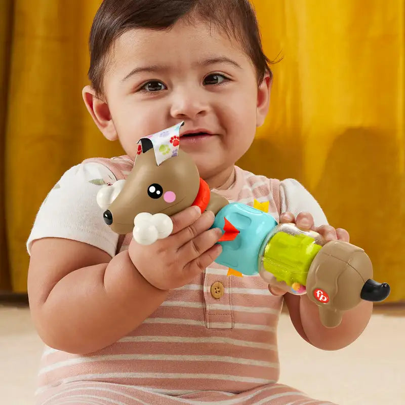 فيشر برايس لعبة جرو اكتيفيتي باصوات وأضواء مواليد تفاعلي Fisher-Price