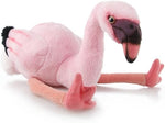 ناشيونال جيورافيك دمية فلامنجو 15 سم الالعاب القطنية national geographic