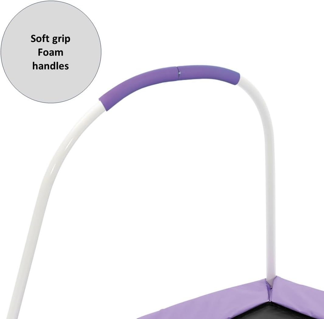 بلام نطاط بنفسجي مع مقبض النطاطات Plum