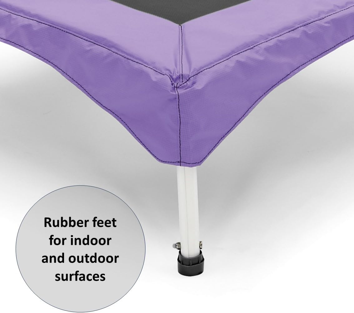 بلام نطاط بنفسجي مع مقبض النطاطات Plum