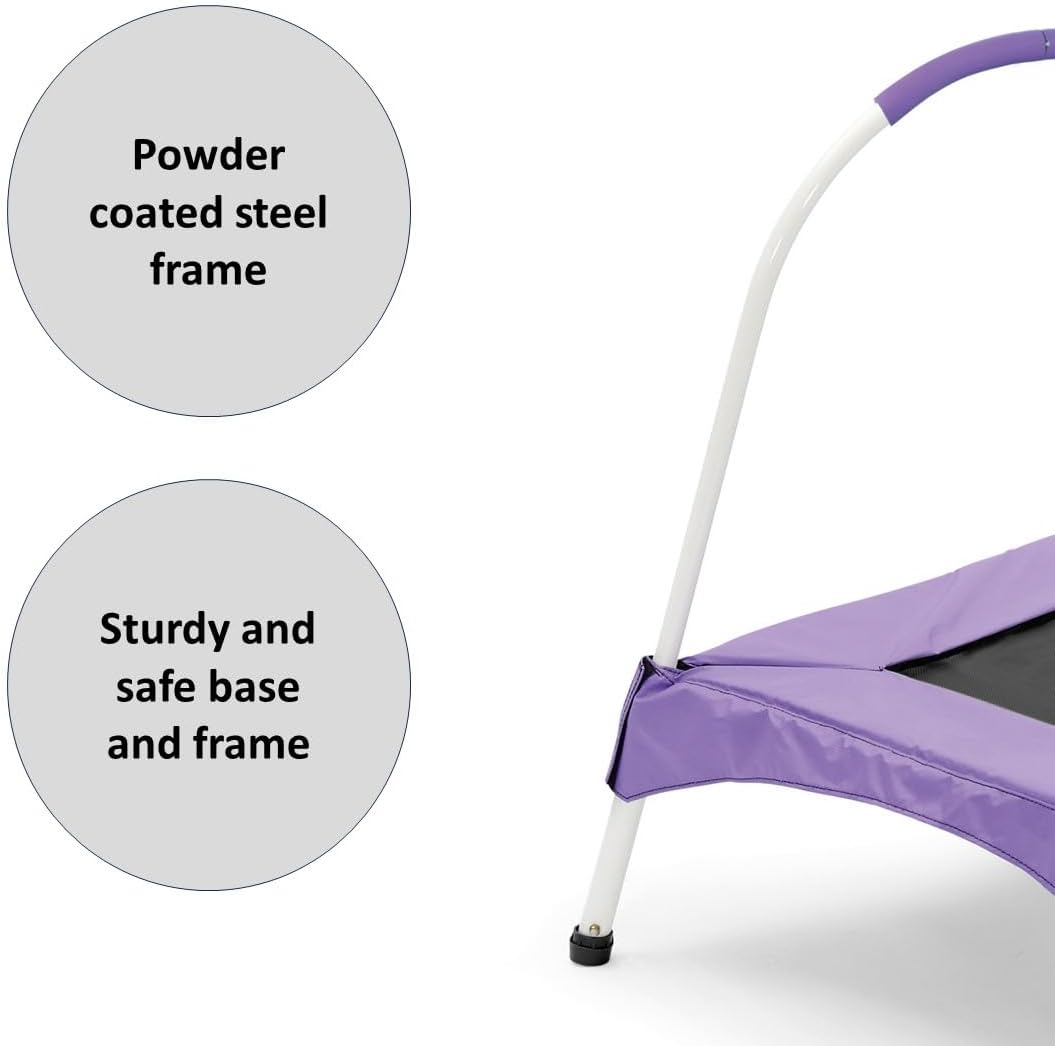 بلام نطاط بنفسجي مع مقبض النطاطات Plum