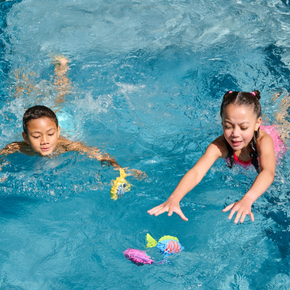 سمكة بيتا قوس قزح مجسمات الحيوانات SWIMWAYS