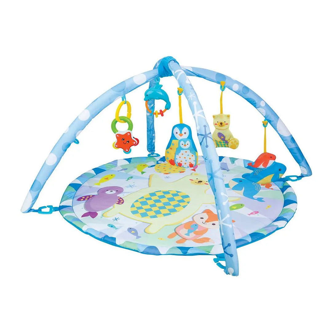 وين فن حصيرة اللعب بولار فيستا بالز بساط للمواليد WinFun