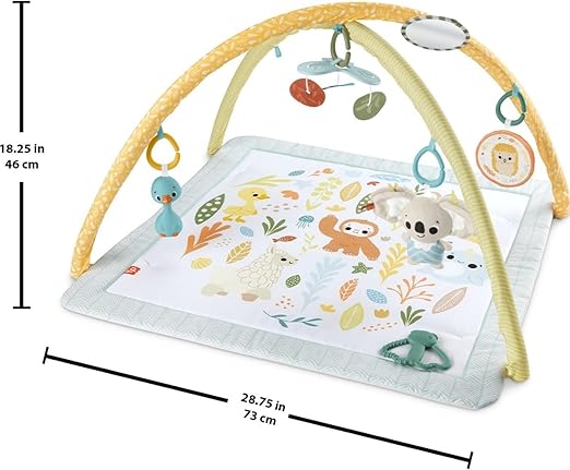 فيشر برايس بساط نشاط للاطفال بساط للمواليد Fisher-Price