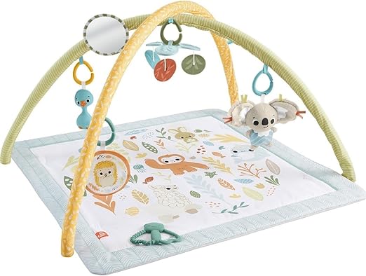 فيشر برايس بساط نشاط للاطفال بساط للمواليد Fisher-Price