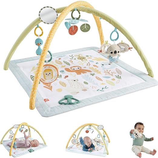 فيشر برايس بساط نشاط للاطفال بساط للمواليد Fisher-Price