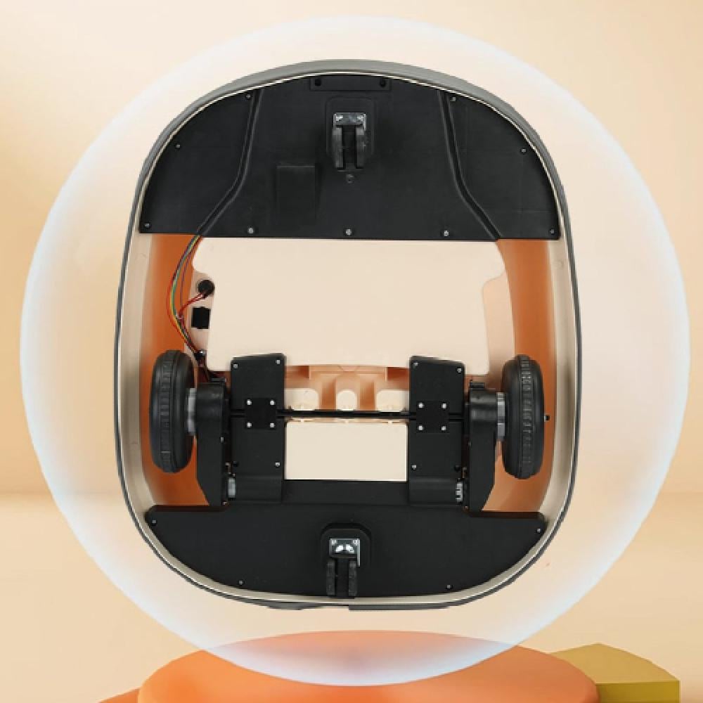 سكوتر التصادم الكهربائية متنوع سكوتر كهربائي LOCAL