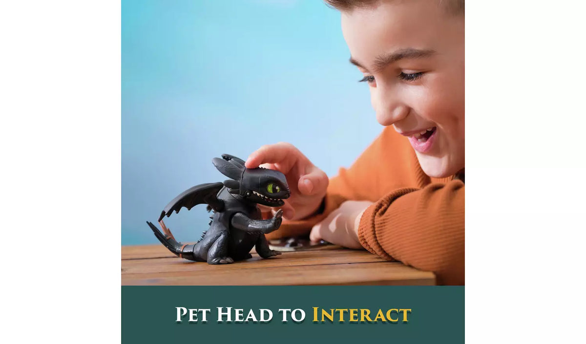 كيف تدرب تنينك روارينج مينيز بلا أسنان مجسمات الحيوانات How To Train Your Dragon