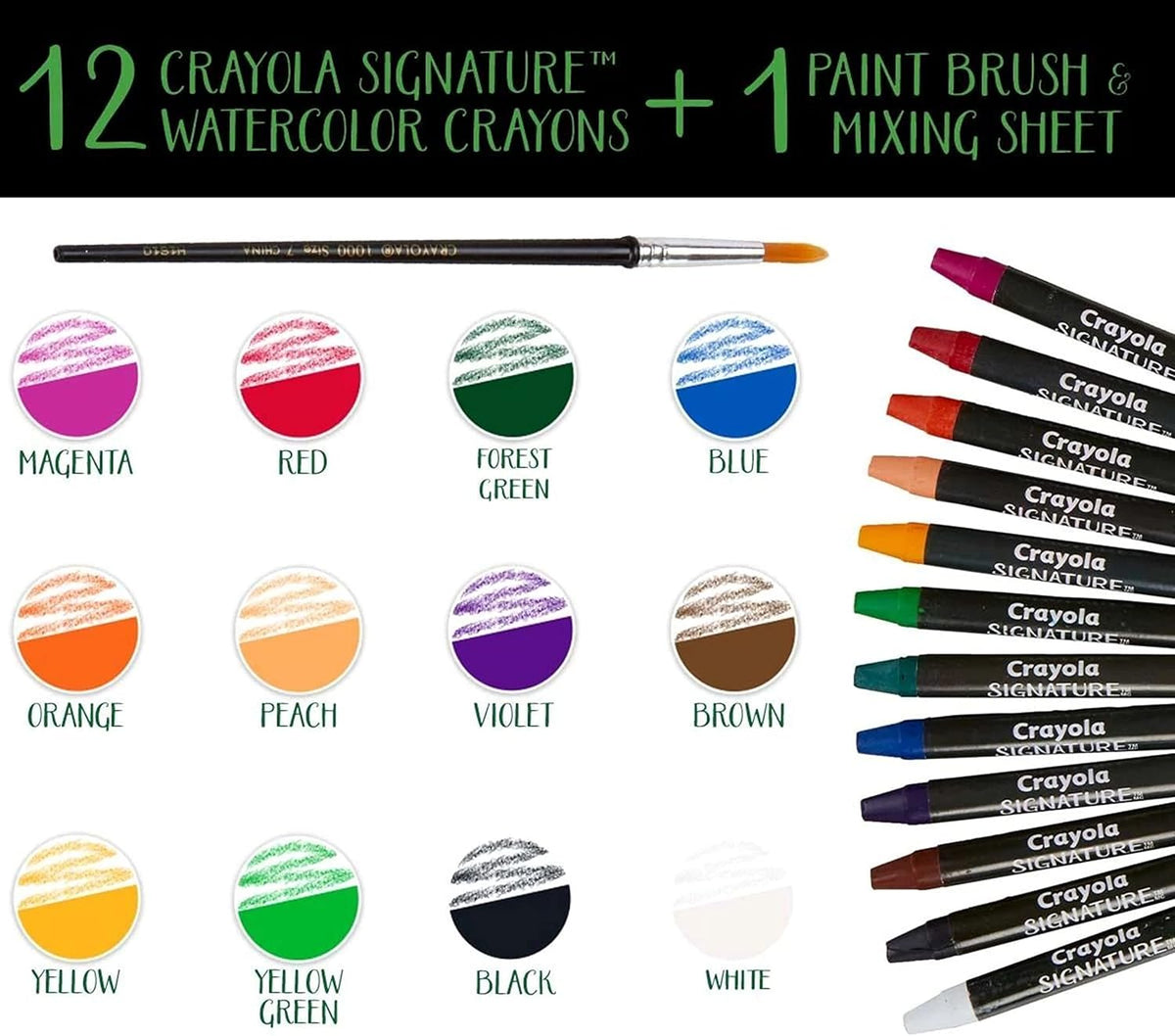 كرايولا قلم تلوين مائي 12 قطعة رسم و تلوين Crayola