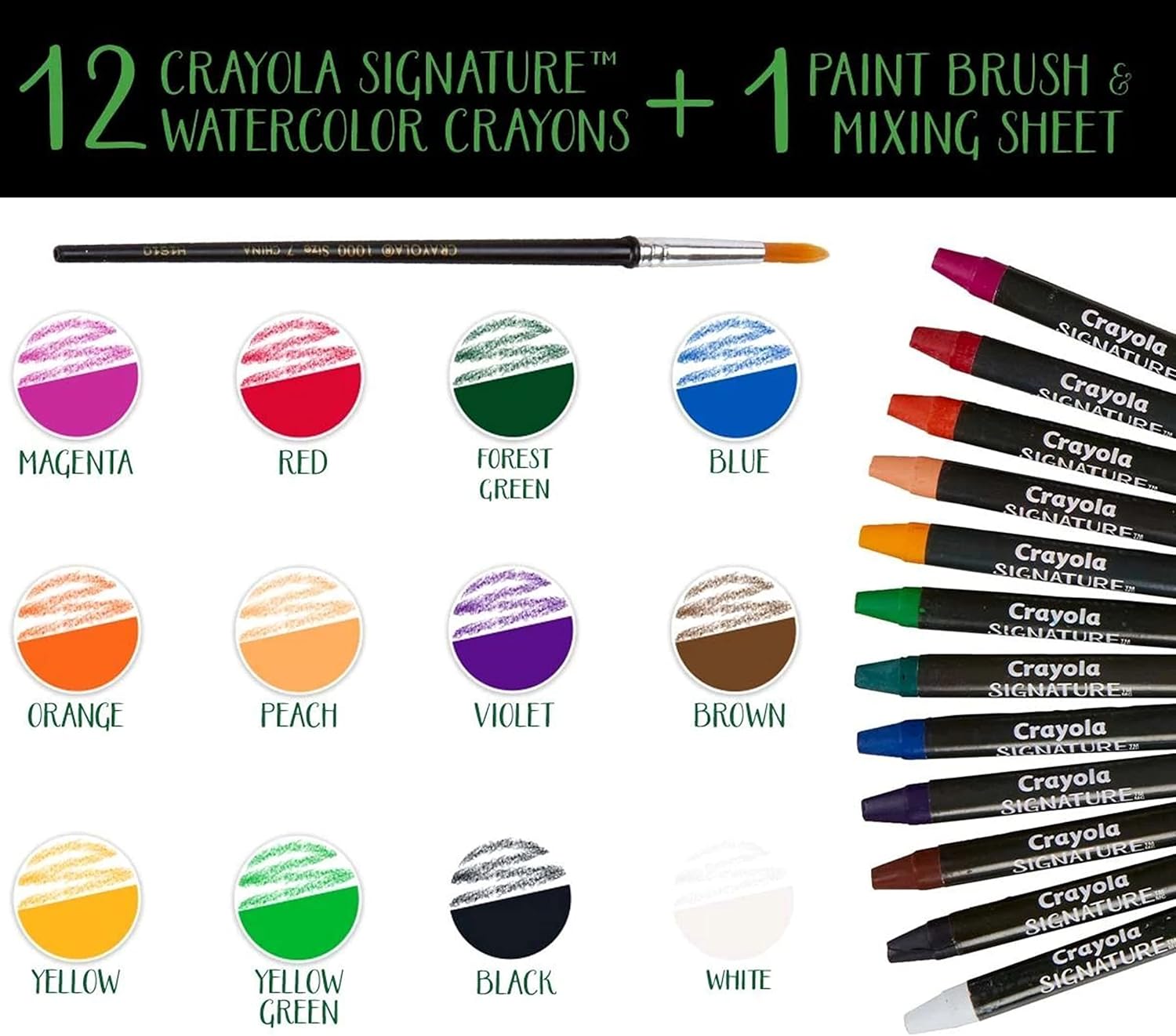 كرايولا قلم تلوين مائي 12 قطعة رسم و تلوين Crayola