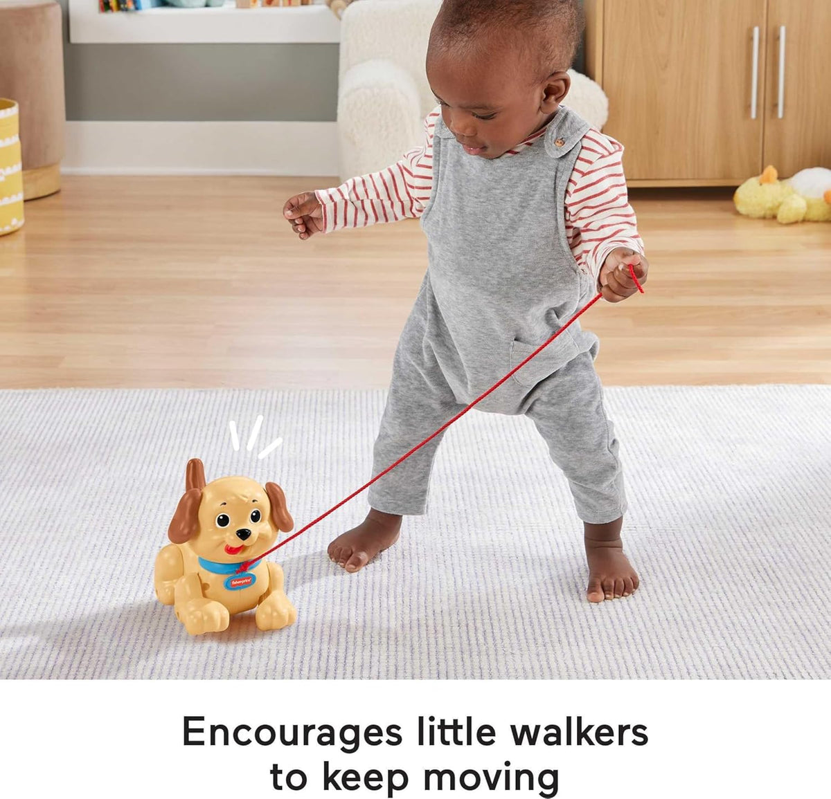 فيشر برايس الجرو سنوبي قابل للسحب مواليد تفاعلي Fisher-Price