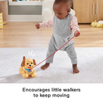 فيشر برايس الجرو سنوبي قابل للسحب مواليد تفاعلي Fisher-Price