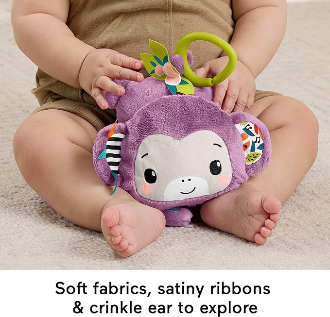 فيشر برايس عربة القرد الأرجواني مواليد تفاعلي Fisher-Price