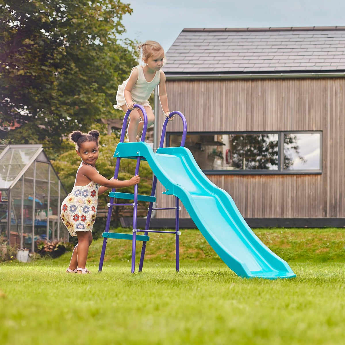 بلام زحليقة 6 قدم الزحاليق Plum