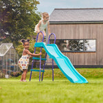 بلام زحليقة 6 قدم الزحاليق Plum