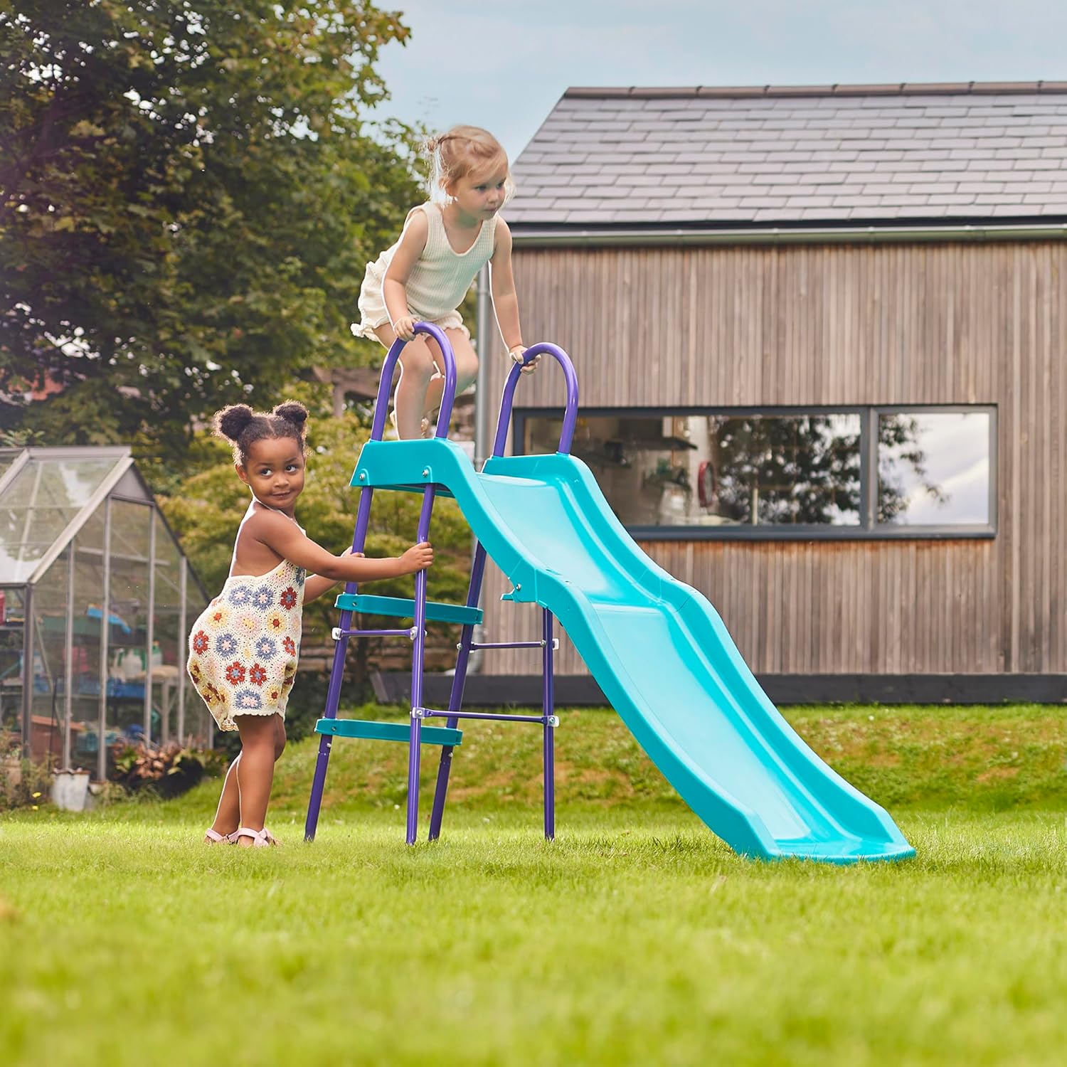 بلام زحليقة 6 قدم الزحاليق Plum