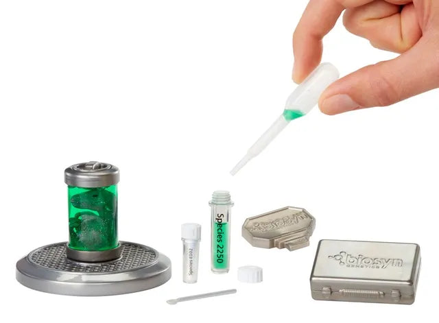 ميني فيرس بيضة الديناصورات جيراسيك ورلد المجسمات Miniverse