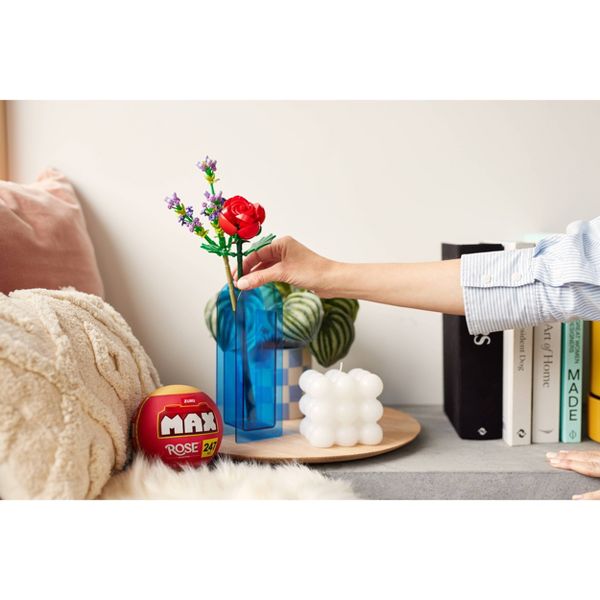 ماكس كبسولة مكعبات مور روز مكعبات التركيب Zuru