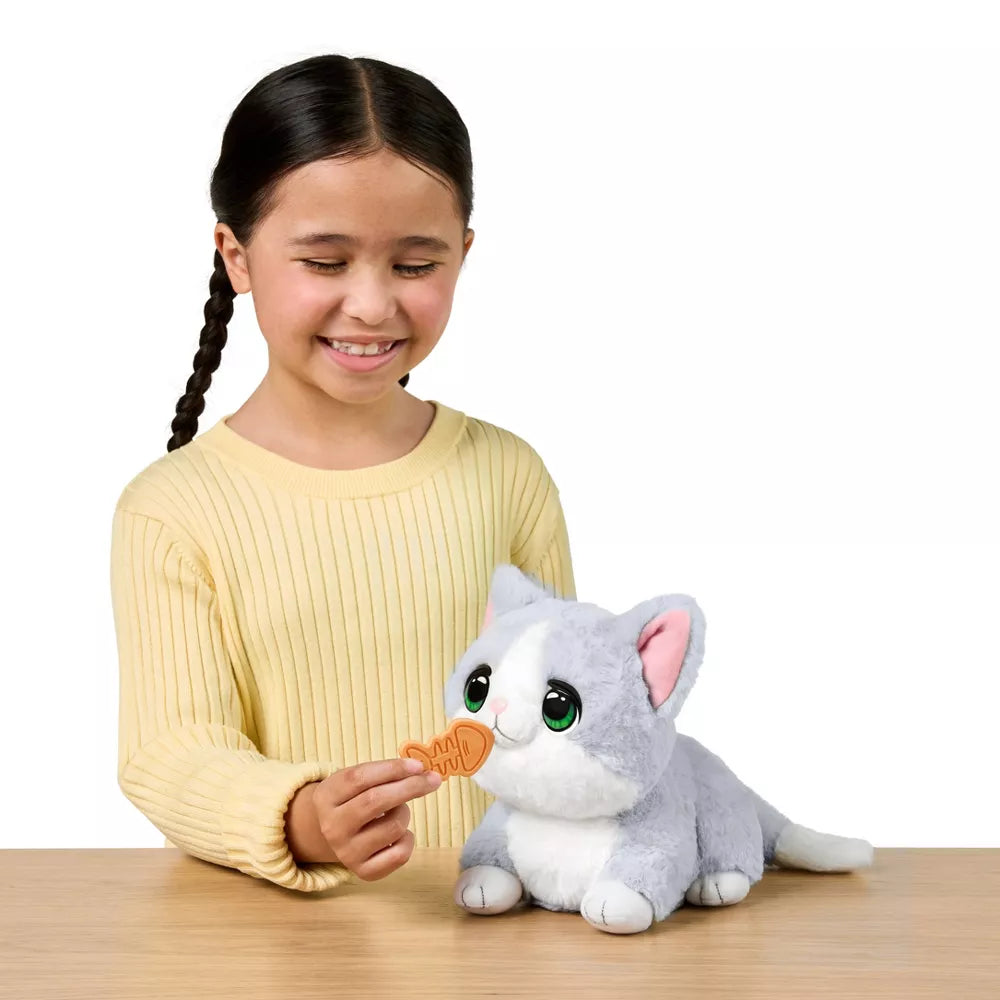 ليتل لايف بيتس قطة أوتشيز مجسمات الحيوانات Little Live Pets