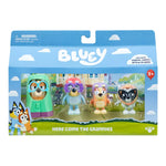 بلوي مجسم الجدات 4 قطع شخصيات كرتونية Bluey
