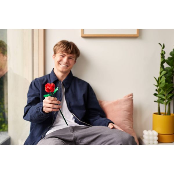 ماكس كبسولة مكعبات مور روز مكعبات التركيب Zuru