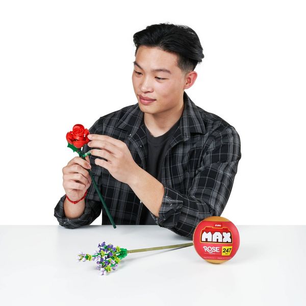 ماكس كبسولة مكعبات مور روز مكعبات التركيب Zuru