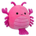 سكويش مالوز دمية كوردي 19 سم الالعاب القطنية Squishmallows