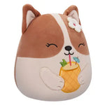 سكويش مالوز دمية جرو كورجي 19 سم الالعاب القطنية Squishmallows