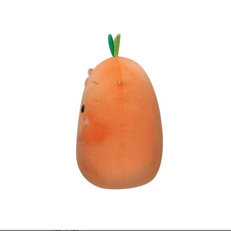 سكويش مالوز دمية كارولينا الجزرة الالعاب القطنية Squishmallows