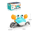 لعبة سرطان البحر الزاحف مواليد تفاعلي LOCAL