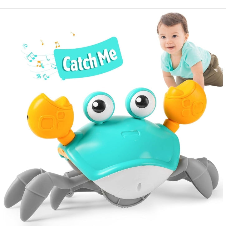 لعبة سرطان البحر الزاحف مواليد تفاعلي LOCAL