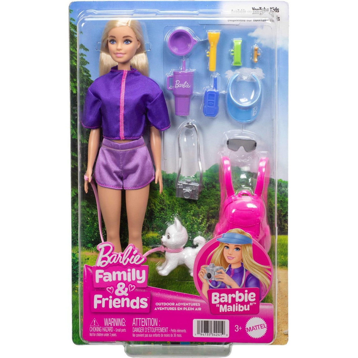 باربي فاميلي آند فريندز دمية ماليبو المستكشفة دمية مع اكسسوارات Barbie