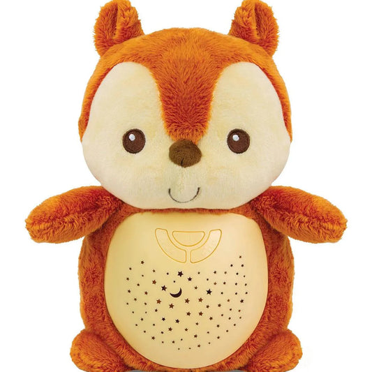 وين فن سنجاب أضواء النجوم 2 في 1