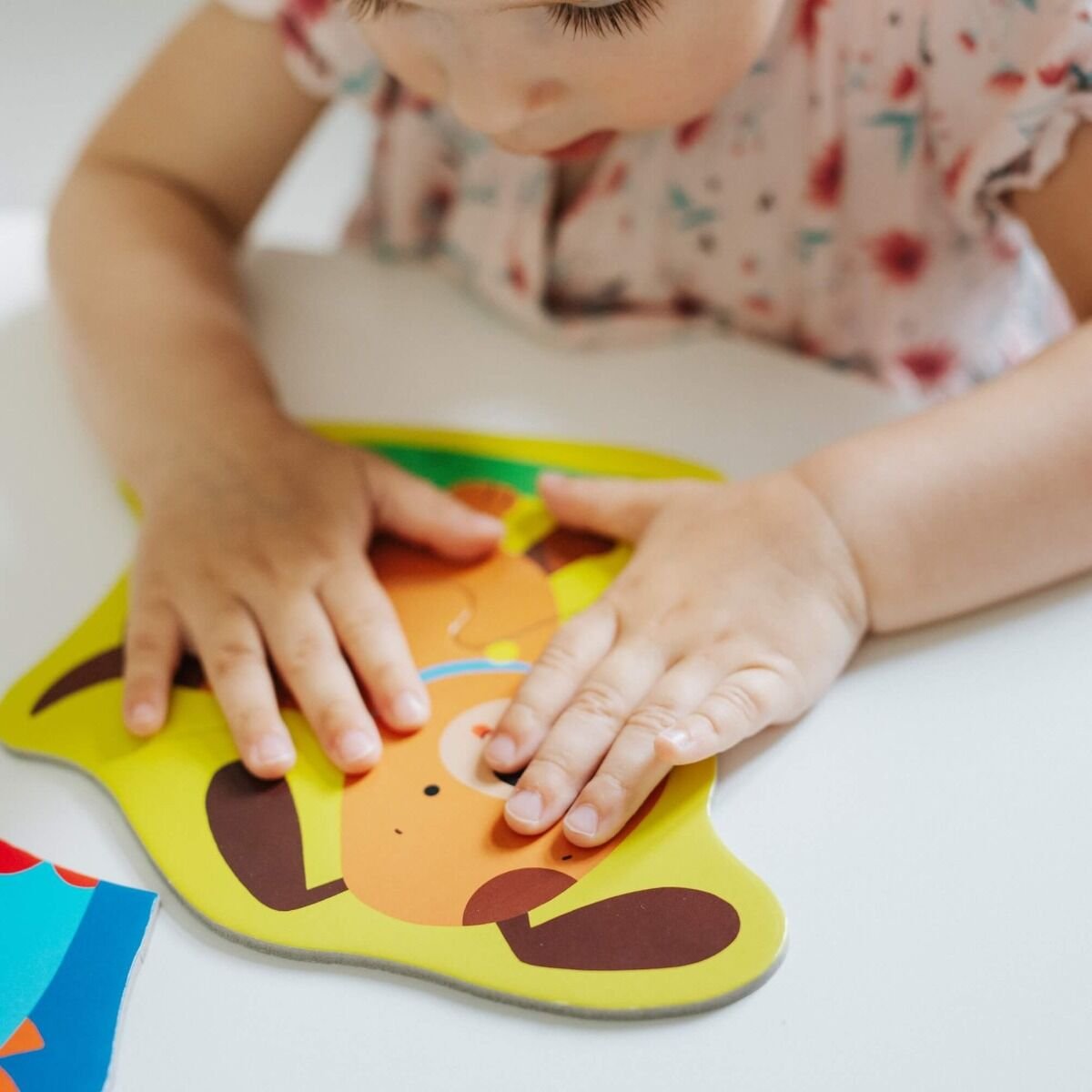 بزل الحيوانات 4 في 1 العاب البزل Trefl