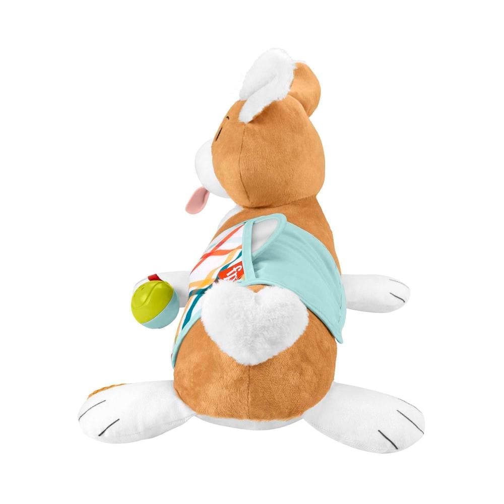 فيشر برايس لعبة جرو 3 في 1 مواليد تفاعلي Fisher-Price