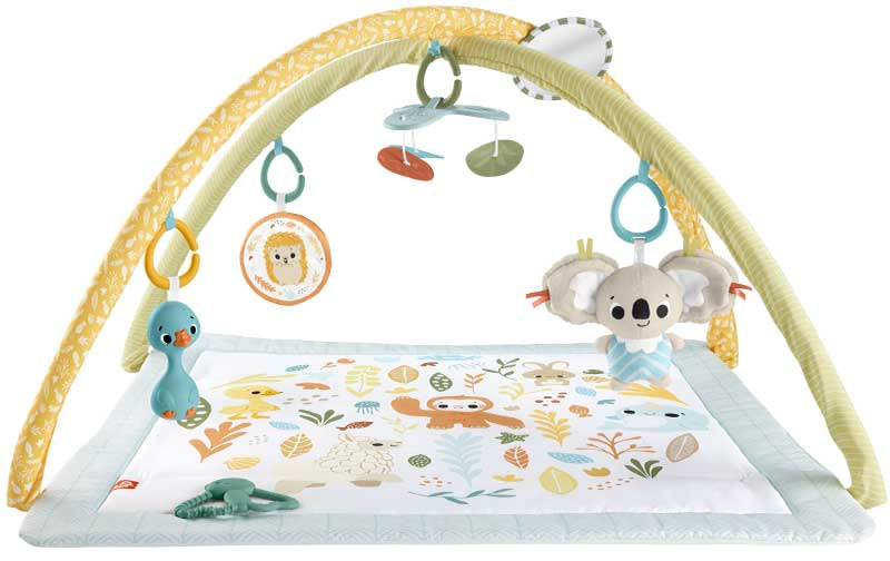فيشر برايس بساط نشاط للاطفال بساط للمواليد Fisher-Price