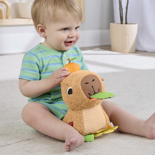 فيشر برايس سناجلي سناكي مواليد تفاعلي Fisher-Price