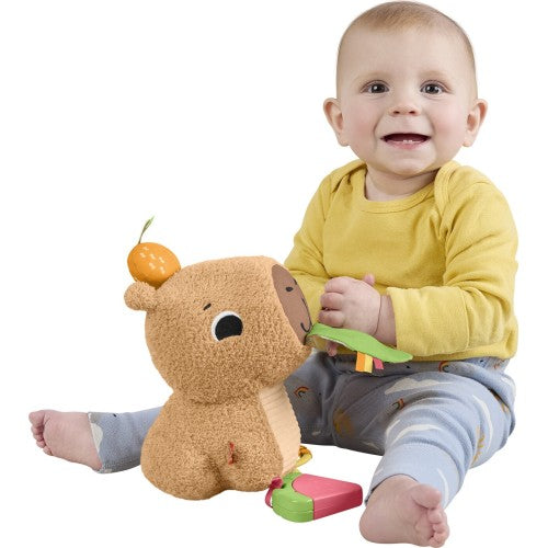 فيشر برايس سناجلي سناكي مواليد تفاعلي Fisher-Price