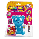 دب حلوى غومي مالز المطاطية زرقاء التمدد والضغط Eolo