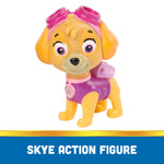 باو باترول لعبة طائرة هليكوبتر مع شخصية سكاي المركبات المتنوعه Paw Patrol