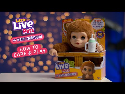 ليتل لايف بيتس القرد بيبي مونكي 50 تفاعل