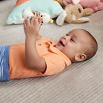 فيشر برايس عضاضة أسنان أوزة مواليد تفاعلي Fisher-Price