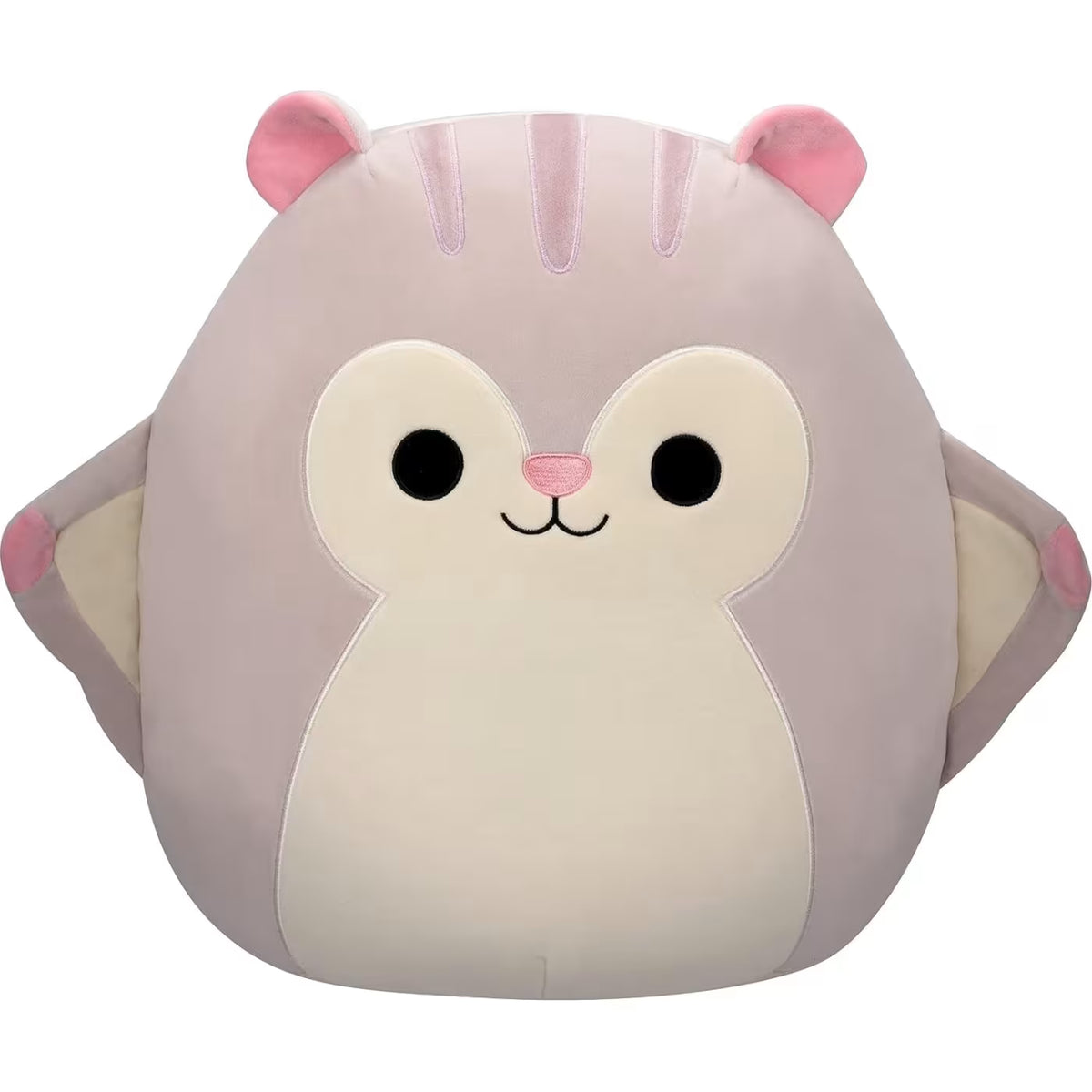 سكويش مالوز دمية السنجاب الطائر الالعاب القطنية Squishmallows