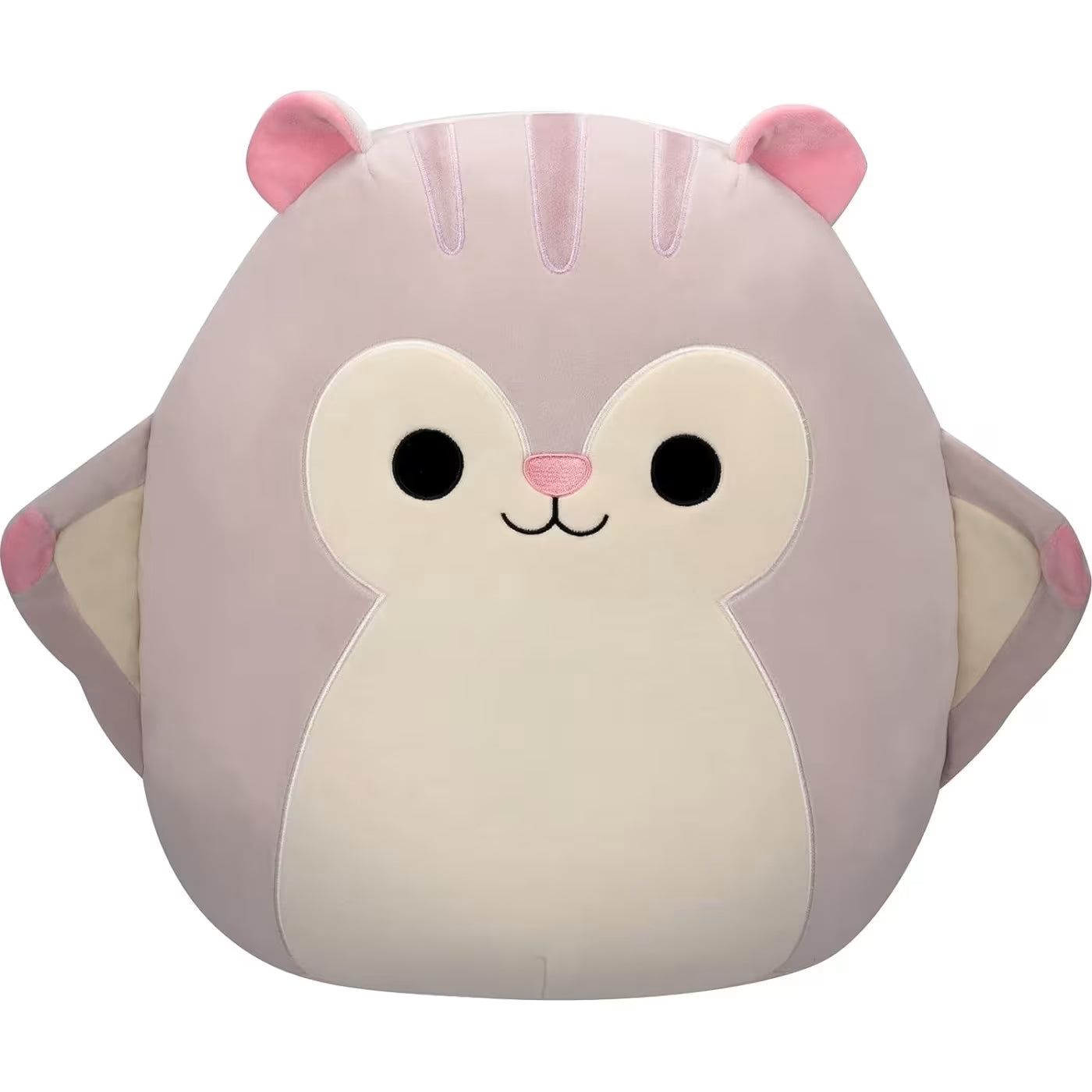 سكويش مالوز دمية السنجاب الطائر الالعاب القطنية Squishmallows