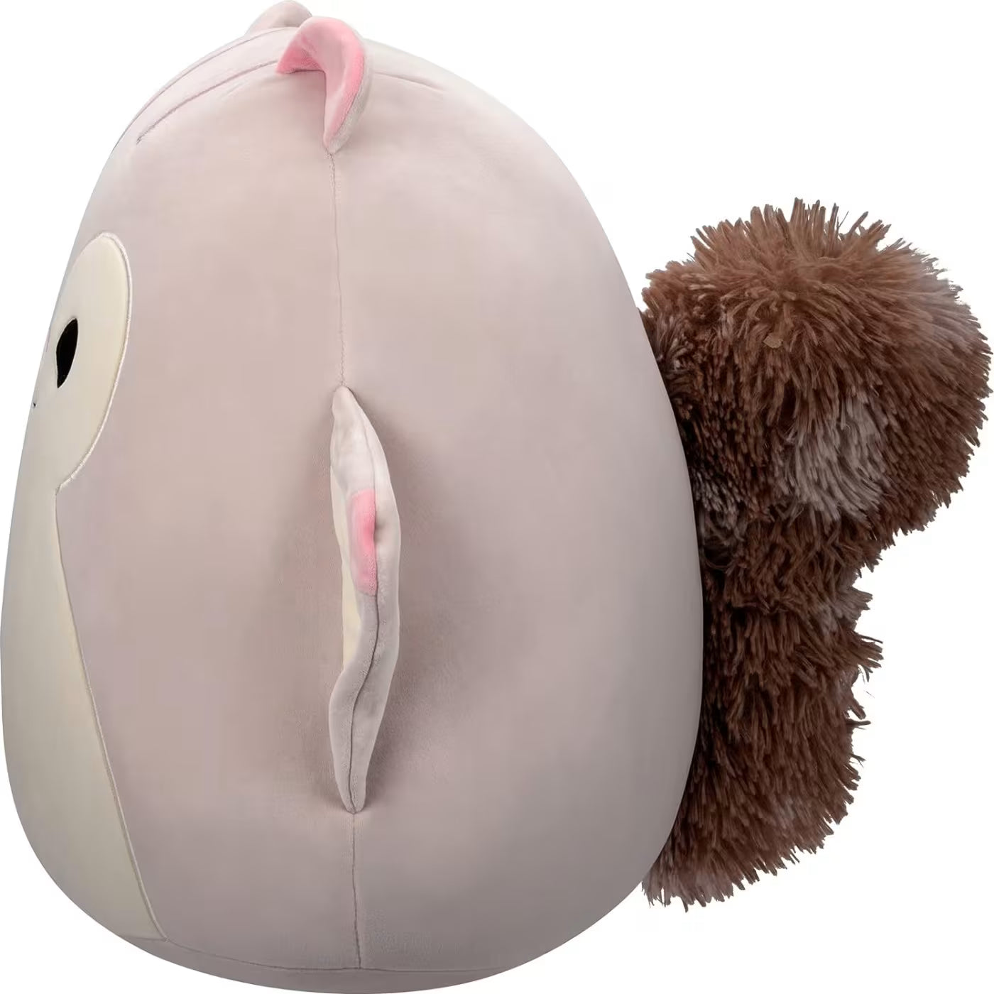 سكويش مالوز دمية السنجاب الطائر الالعاب القطنية Squishmallows