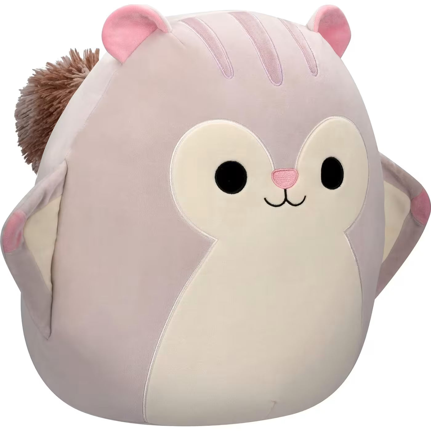 سكويش مالوز دمية السنجاب الطائر الالعاب القطنية Squishmallows